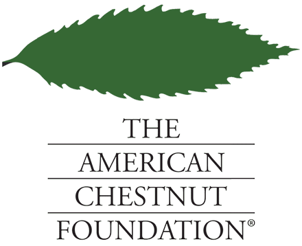 The American Chestnut Association